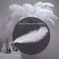 thumbnail image 3 of 10 Pieces White Natural Ostrich 20-25cm Wedding DIY,1 Bag of Ostrich Feather(10 pc),White, 3 of 5