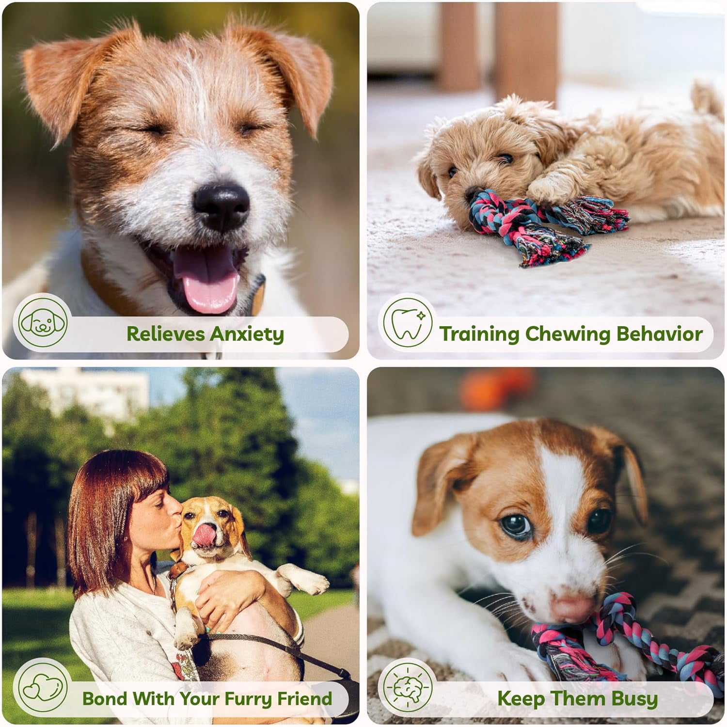 Puppy Rope Toy, Dog Rope Toy for Small Dogs, Puppy Teething Toys, Cotton Interactive Tug of War Dog Toy for Puppies Boredom, Dog Chew Toys for Aggressive Chewers Small Breed