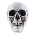 thumbnail image 6 of Buateil Life Size Human Skull Model Halloween Decor Skeleton Skull Realistic Human Adult Skull Head Bone Model Graveyard Outdoor Decor, 6 of 7