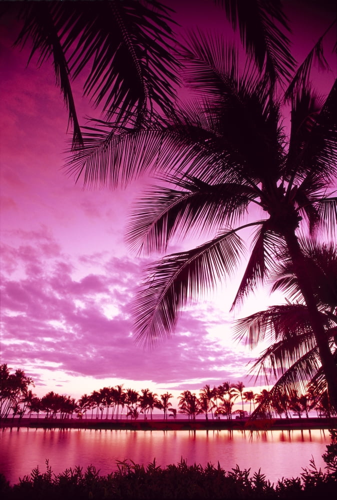 Hawaii Big Island Anaehoomalu Bay Sunset With Palm Trees Pink Filter