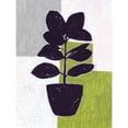 thumbnail image 3 of Wang, Melissa 19x24 Black Modern Framed Museum Art Print Titled - Green Plantling IV, 3 of 5