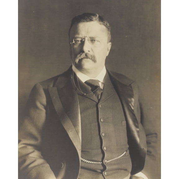 Print: Theodore Roosevelt, View 2, Half-Length Portrait, Facing Slightly