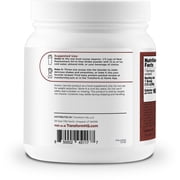 TransformHQ Meal Replacement Shake Powder 7 Servings (Chocolate) - Gluten Free, Non-GMO