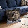 thumbnail image 4 of Cute Pet Pillow Cover 18x18 Inches, Hidden Zipper Soft Plush Pillowcase, Gift for Pet Lovers Women Ki-ds, Stress Relief Decor for Bedroom Living Room Sofa, 4 of 5