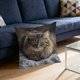 thumbnail image 5 of Uuiauoio Cat Pillow Covers 18x18, Cats Lovers Lady Gifts, Cat Gifts for Mom Mother's Day, Cats Decorative Pillow Covers for Home Bedroom Living Room Office Decor, 5 of 6