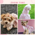 thumbnail image 5 of FloreceBien Vestido Floral para Perros pequeños, Gatos, niñas, Lindo Vestido de Princesa de Encaje para Cachorros con Flores de Margarita, decoración Primavera Verano, 5 of 5