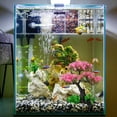 thumbnail image 7 of Plastic Aquarium Plants For Fish Tanks, Realistic Cherry Blossom Trees And Green Aquatic Plants, And Realistic Artificial Plants For Natural Underwater Landscapes 1 Piece, 7 of 7