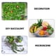 thumbnail image 4 of 24 piezas de suculentas simuladas, plantas decorativas para pared, plantas artificiales, 4 of 6
