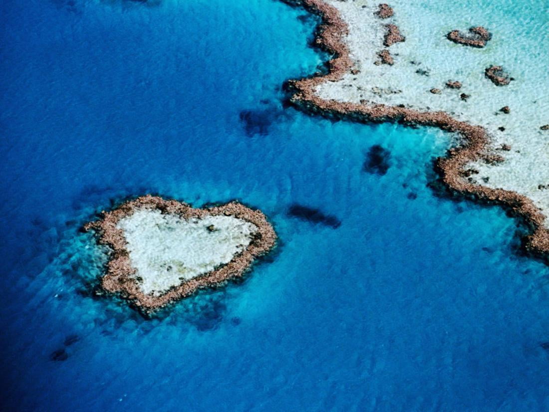 Heart Shaped Reef Hardy Reef Near Whitsunday Islands Great Barrier Reef Queensland Australia Scenic Unframed Photographic Print Wall Art By Holger Leue Walmart Com