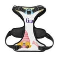 thumbnail image 5 of Lsque Watercolor Gnome Garden Dog Harness, No-Pull Pet Harness with 2 Leash Clips, Adjustable Soft Padded Dog Vest with Easy Control Handle for Large Dogs-Medium, 5 of 9