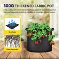 thumbnail image 3 of PEACNNG iPower 10 Gallon 6-Pack Plant Grow Bag Fabric Pots Containers, 3 of 7