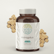HerbEra Astragalus Capsules, Herbal Dietary Supplement for Immune Support, Astragalus (Astragalus Membranaceus) Dried Root Capsules, Natural, 120 Capsules