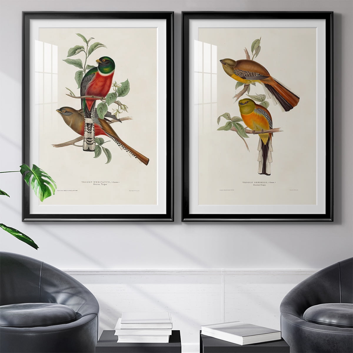 Wexford Home Elegant Trogons I Premium Framed Print, 18.5" x 24.5" - Ready to Hang, Black (Set of 2)