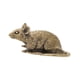 thumbnail image 5 of Ouse artesanía feng shui adorno adorno de rata estatua animal escultura de animales diminy tapet colección regalo para el gabinete de oficina hogar, 5 of 8