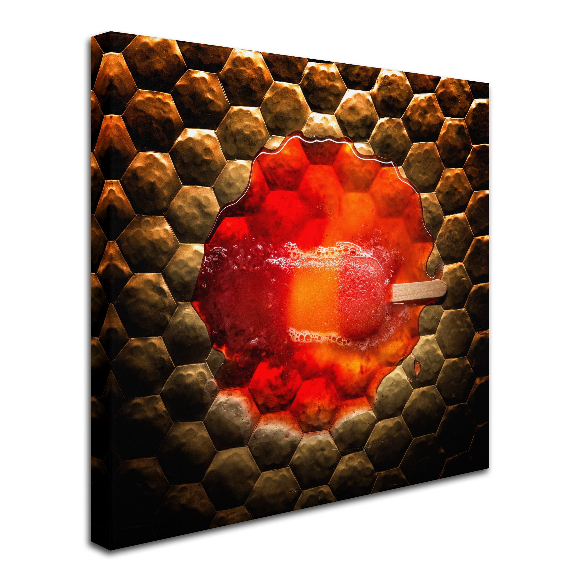 Trademark Fine Art 'Melting Popsicle' Canvas Art by Joe Felzman Photography