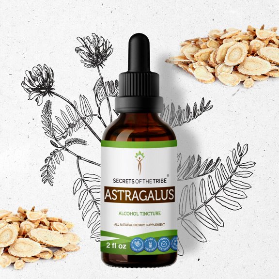 Astragalus Tincture Alcohol Extract, Organic Astragalus (Astragalus membranaceus) Dried Root 2 oz
