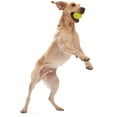 thumbnail image 5 of West Paw Zogoflex Jive XS 2" Dog Toy Granny Smith, 5 of 5