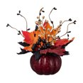 thumbnail image 1 of SUNSIOM Ensemble de Décorations Citrouille, Décorations de Récolte d'Automne pour Maison Table Mariage Bricolage Automne Halloween Action de Grâce Décor, 1 of 8