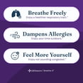 thumbnail image 2 of Breathe-X - Allergy & Sinus Relief Supplement - Supports Sinuses & Nasal Discomfort - Non-Drowsy & Fast-Acting - Quercetin, Bromelain, Citrus Bioflavonoids, Nettle Leaf & Vitamin C - 180 Capsules, 2 of 5