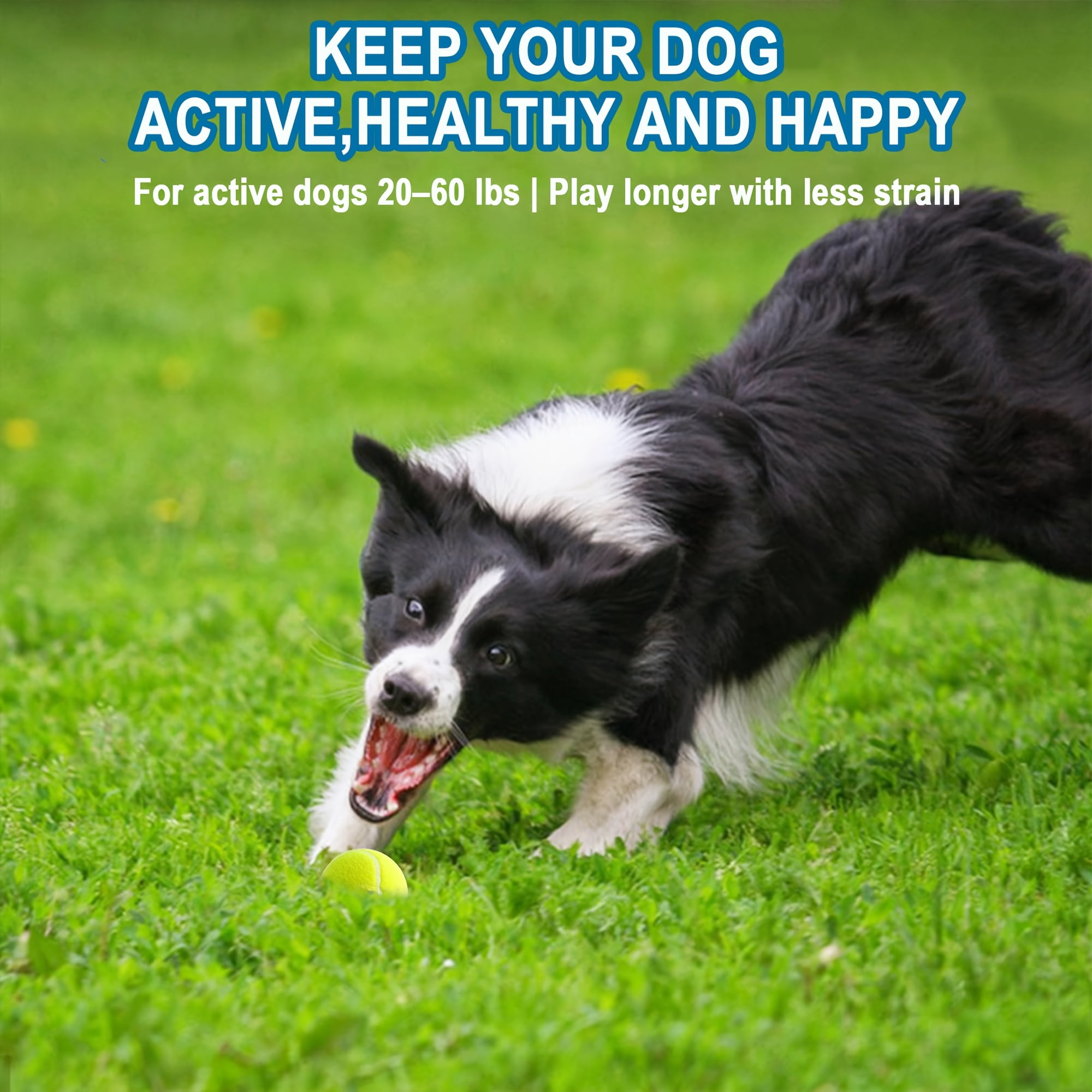 Pets Dog Ball Launcher - Ergonomic Tennis Ball Thrower for Dogs 20-60 lbs - Includes Tosser and (1) 2.5 Inch Balls for Fetch Dog Fetch Ball Thrower