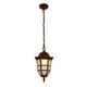 thumbnail image 1 of Lámpara de Exterior, Tecnolite, Colgante Tipo Farol, 26 W, 1 of 5