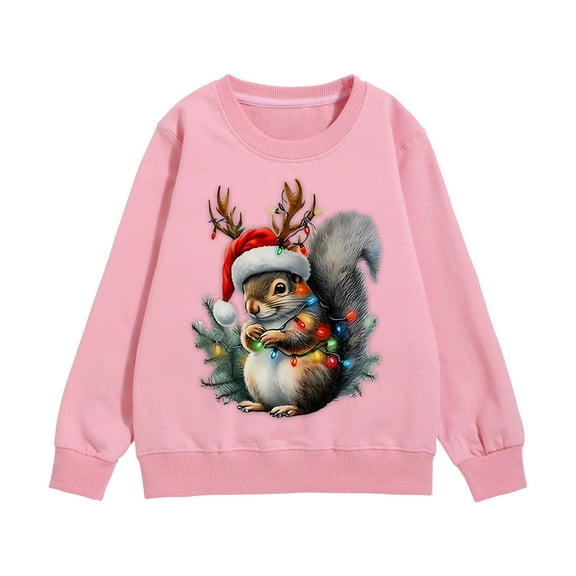 Wxolcjlv Toddler Boys Christmas Hoodies Cartoon Squirrel Print Long Sleeve Cute Casual Sweatshirt unisex Loose Cozy Winter Warm Hoody Pullover Dailywear Sweaters，18-24 Months