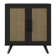 Twin Star Home Accent Cabinet in Black