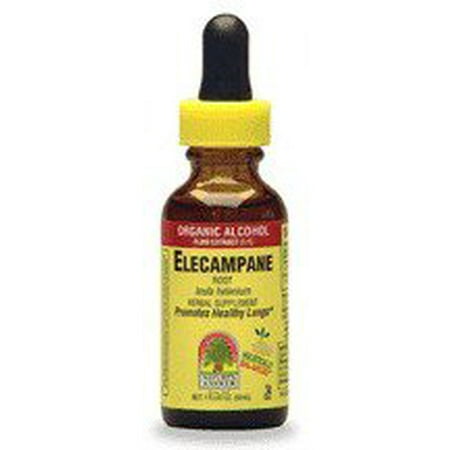 Elecampane Root Cut - Elecampane Root Extract Nature's Answer 1 oz Liquid