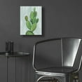 thumbnail image 5 of Epic Art 'Front Yard Cactus I Slate' by Silvia Vassileva, Acrylic Glass Wall Art, 12"x16", 5 of 8