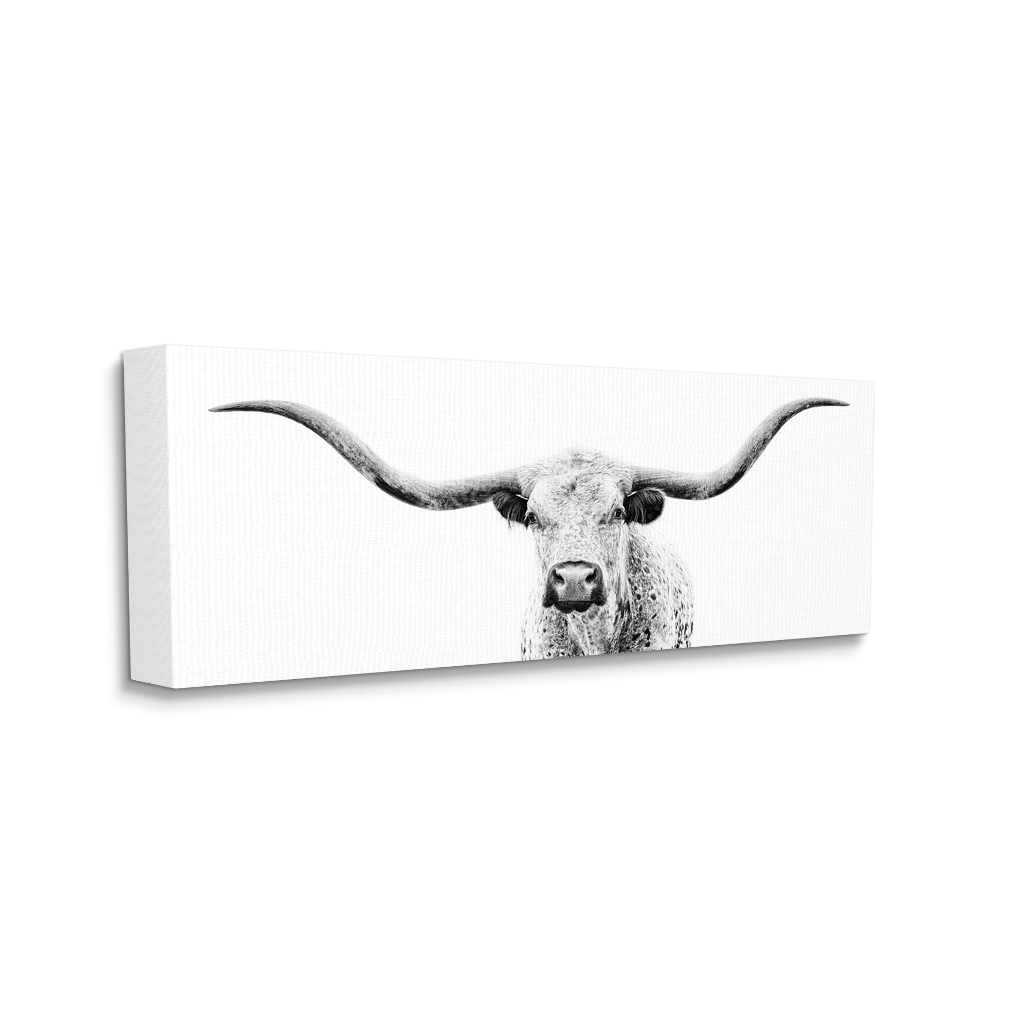 Stupell Industries Longhorn Cattle Gazing Modern White Photography Design Graphic Art Gallery Wrapped Canvas Print Wall Art, Design by PHBurchett