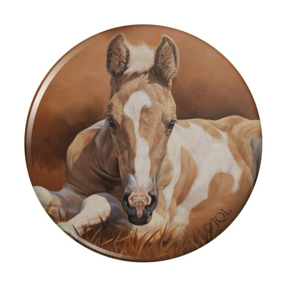 Foal Baby Horse New Paint Kitchen Refrigerator Locker Button Magnet