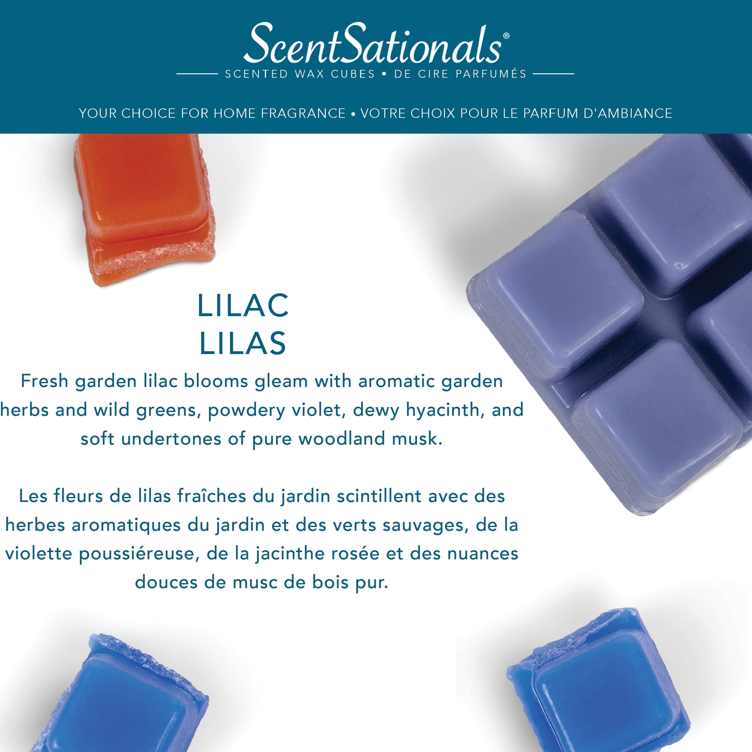 Cubes de cire parfumée ScentSationals - Lilas