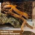thumbnail image 3 of Cork Terrarium Background 11.8x7.9in 6PCS Natural Reptile Cork Bark Flats Terrarium Board Bearded Dragon Climbing Wall Mat Tank Decor for Lizard Chamelon Snake Turtle Spider Crested Gecko, 3 of 8
