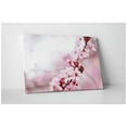 thumbnail image 3 of Pingo World 0809QFYZPOS "Cherry Blossom Flower" Gallery Wrapped Canvas Wall Art, 30" x 20", Variable, 3 of 4