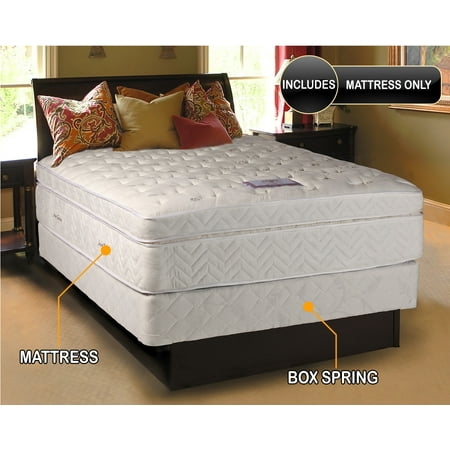 Dream Sleep Lexus Pocket Coil Box Pillow Top Gentle Firm Queen