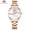 Rose Gold, variant on MINI FOCUS Fashion Luxury Women Watches Waterproof Reloj Mujer Stainless Steel Casual Ladies Watch Relogio Feminino Montre Femme