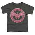 thumbnail image 2 of Wonder Woman Emblem 1 Kids T Shirt (3) for Youth Toddler Boys and Girls, Charcoal, 2 of 5