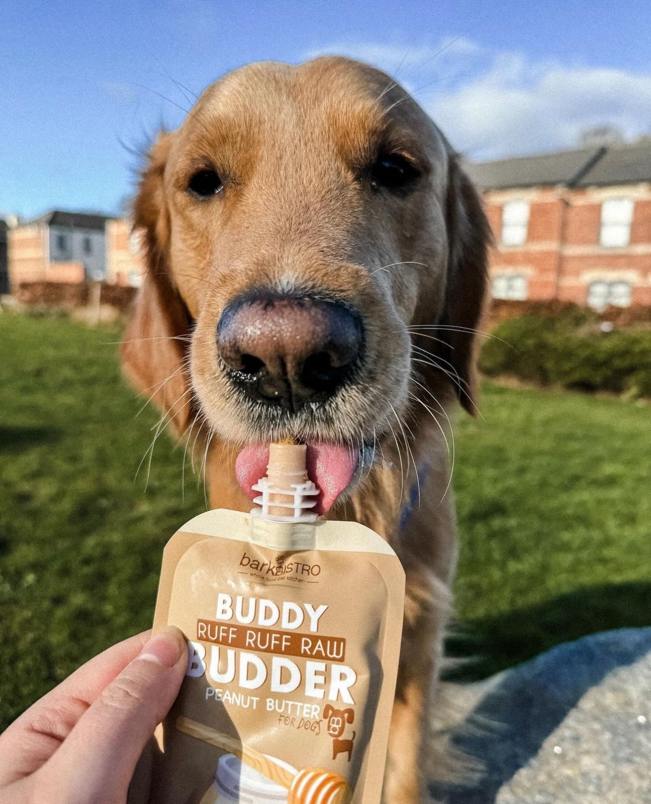 6pk Mixed Buddy Budder Squeeze Pack, Dog Peanut Butter, 4oz each