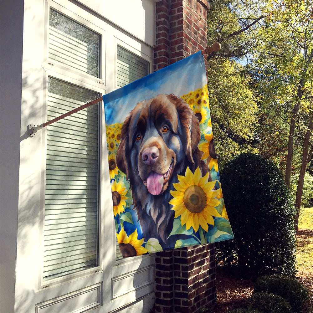Newfoundland in Sunflowers House Flag 28 in x 40 in