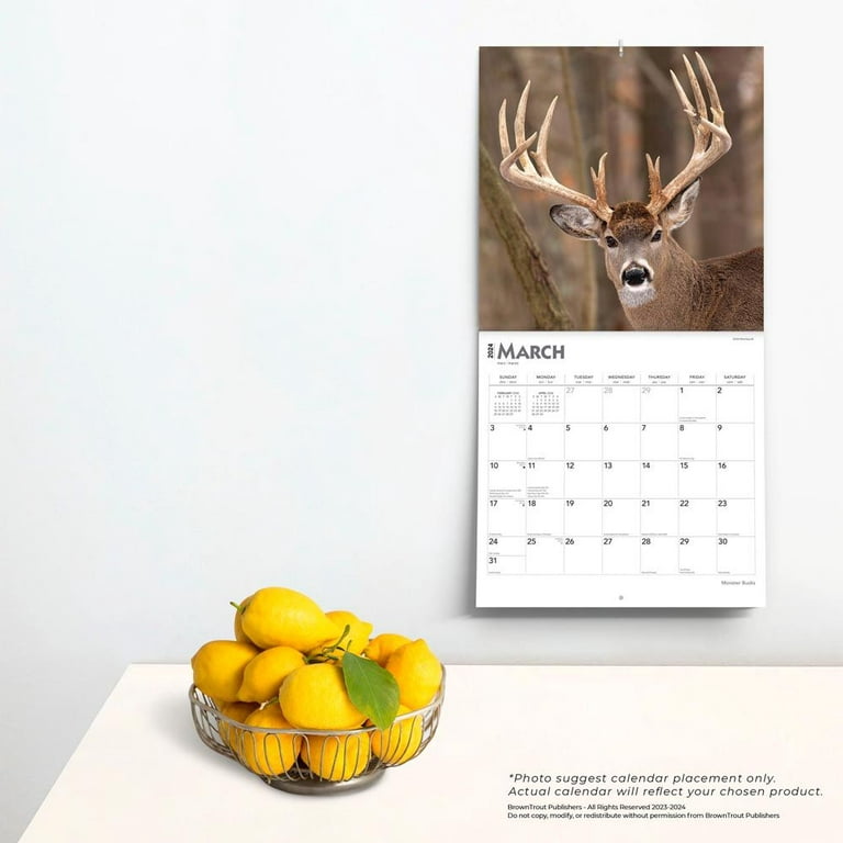 BrownTrout, Monster Bucks 2024 Wall Calendar 