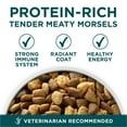 thumbnail image 3 of Purina One Plus Puppy Dry Dog Food for Large Dogs High Protein Growth Support, Real Chicken, 31.1 lb Bag, 3 of 11