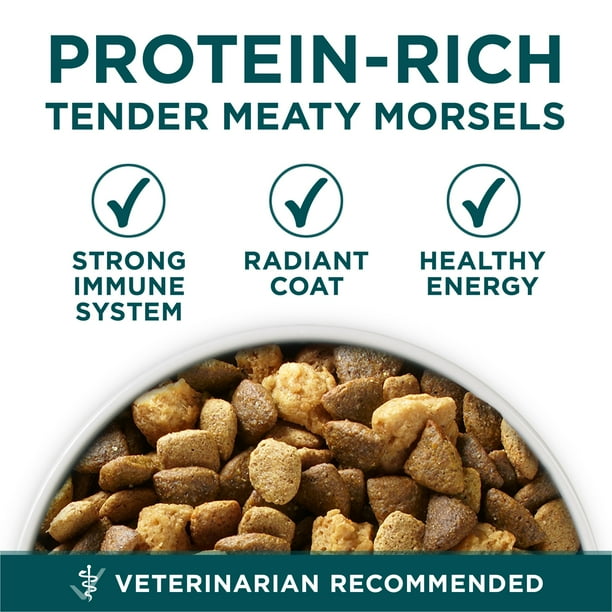 Purina One Plus Puppy Food - Canine diet inventory - Walmart