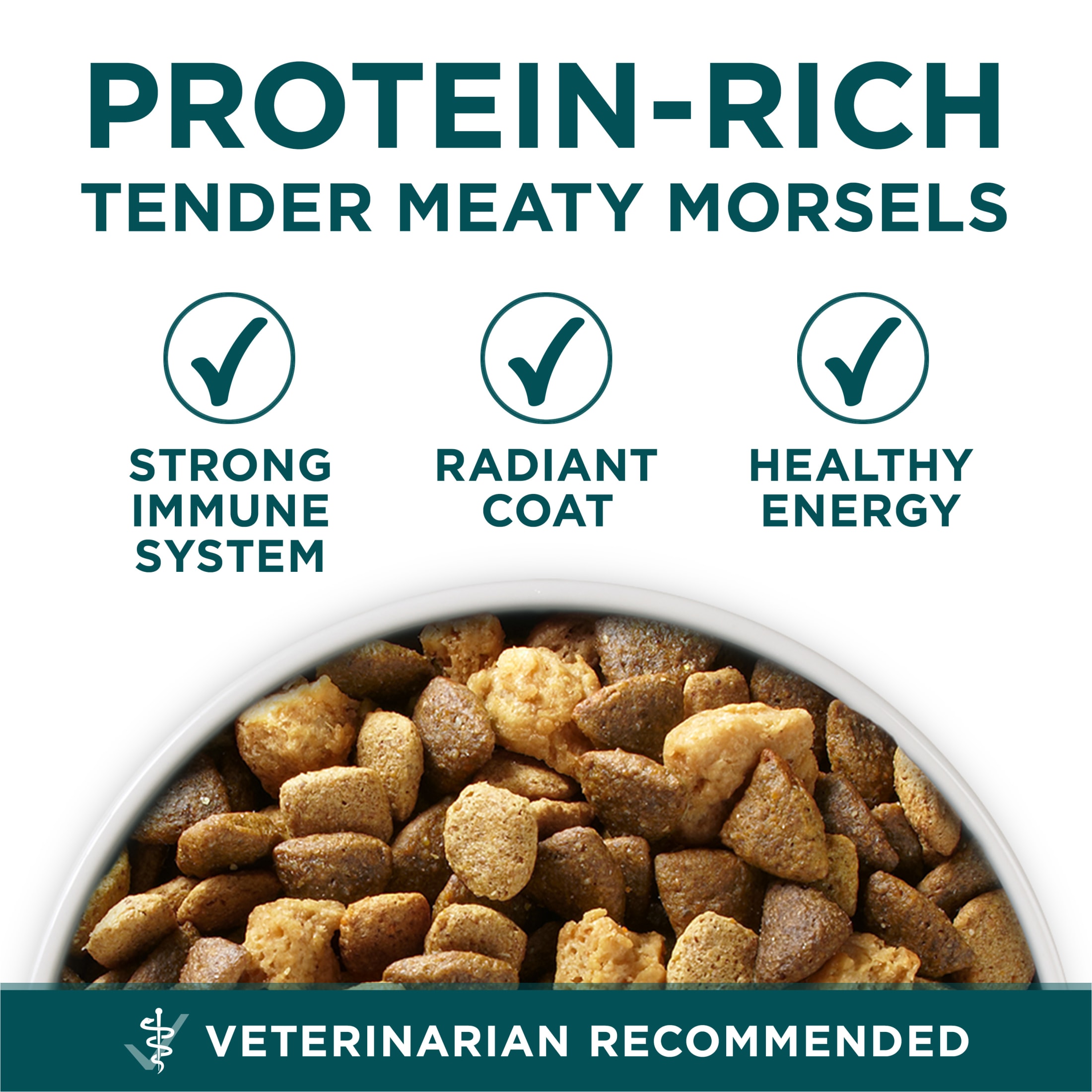 Purina One Plus Large Breed Puppy High Protein Dry Food, 40 lb photo 2