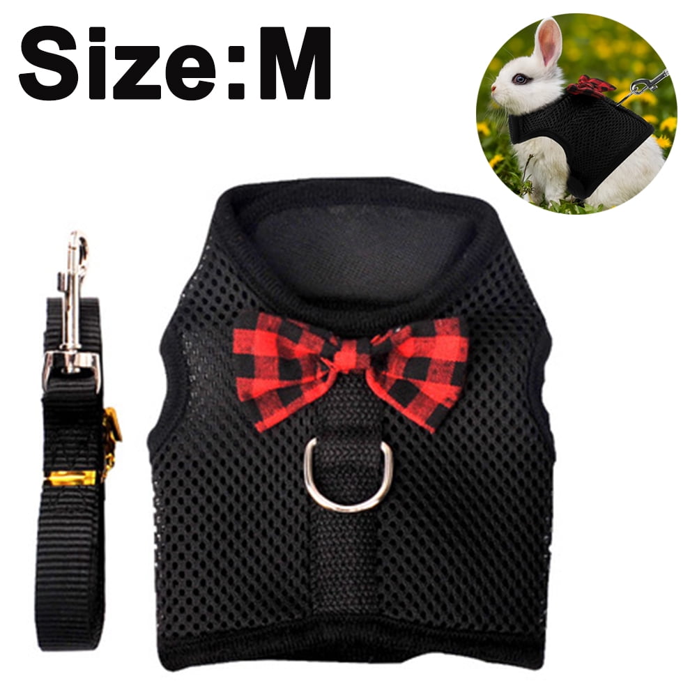 Rabbit leash walmart hotsell