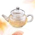 thumbnail image 4 of Miangastore Short Mouth Heat-resistant Glass Herbal Flower Teapot Transparent Kettle Coffee Carafe Coffee Pot with Filter (As Shown), 4 of 8