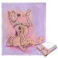 thumbnail image 4 of Warner Bros Scooby Doo Monsterous Shadow Kids Silk Touch Throw Blanket, 4 of 9