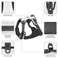 thumbnail image 6 of Fotbe Dachshund Dog Pattern Dog Harness, No-Pull Pet Harness with 2 Leash Clips, Adjustable Soft Padded Dog Vest with Easy Control Handle for Large Dogs-X-Large, 6 of 6