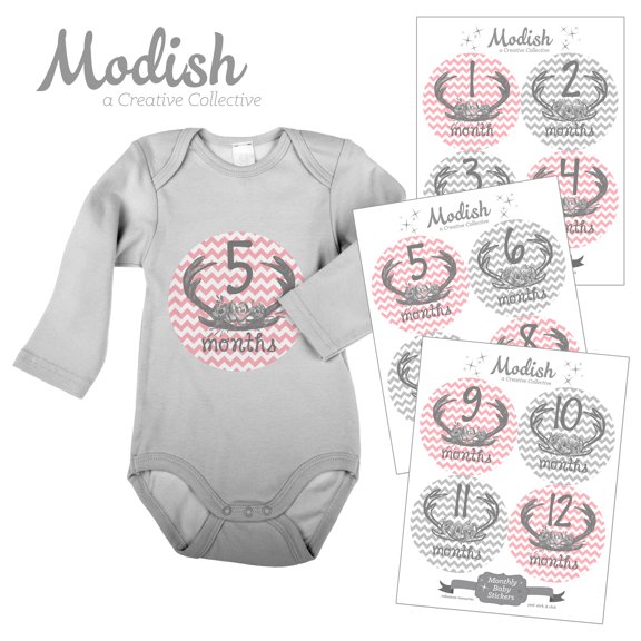 Monthly Baby Stickers, Girl, Floral Antlers, Deer, Antlers, Flowers, Woodland, Pink, Gray, Baby Photo Prop, Baby Shower Gift, Baby Book Keepsake, Modish Labels