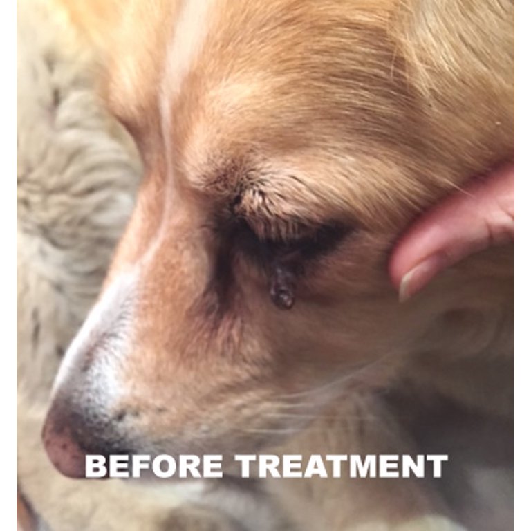 All Natural Dog Wart Remover 1 Oz Good Karma Naturals 100 Natural Painless Dog Warts Removal Treatment Skin Tag Wart Remover For Dogs 30ml Walmart Com