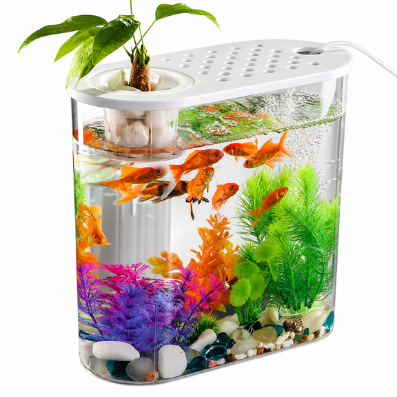 RAIRSKY Small Fish Tank 2 Gallon Glass Aquarium Starter Kits, Desktop Betta Fish Tank Beta Fish Aquariums with Filter and Light, Room Desktop Decor, Gifts